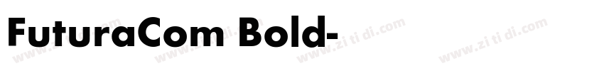 FuturaCom Bold字体转换